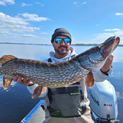 peche brochet