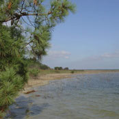 lac en charente maritime